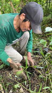 Hikes and Harmony: Tree Nurturing with MAD Travel & MPNR Foundation