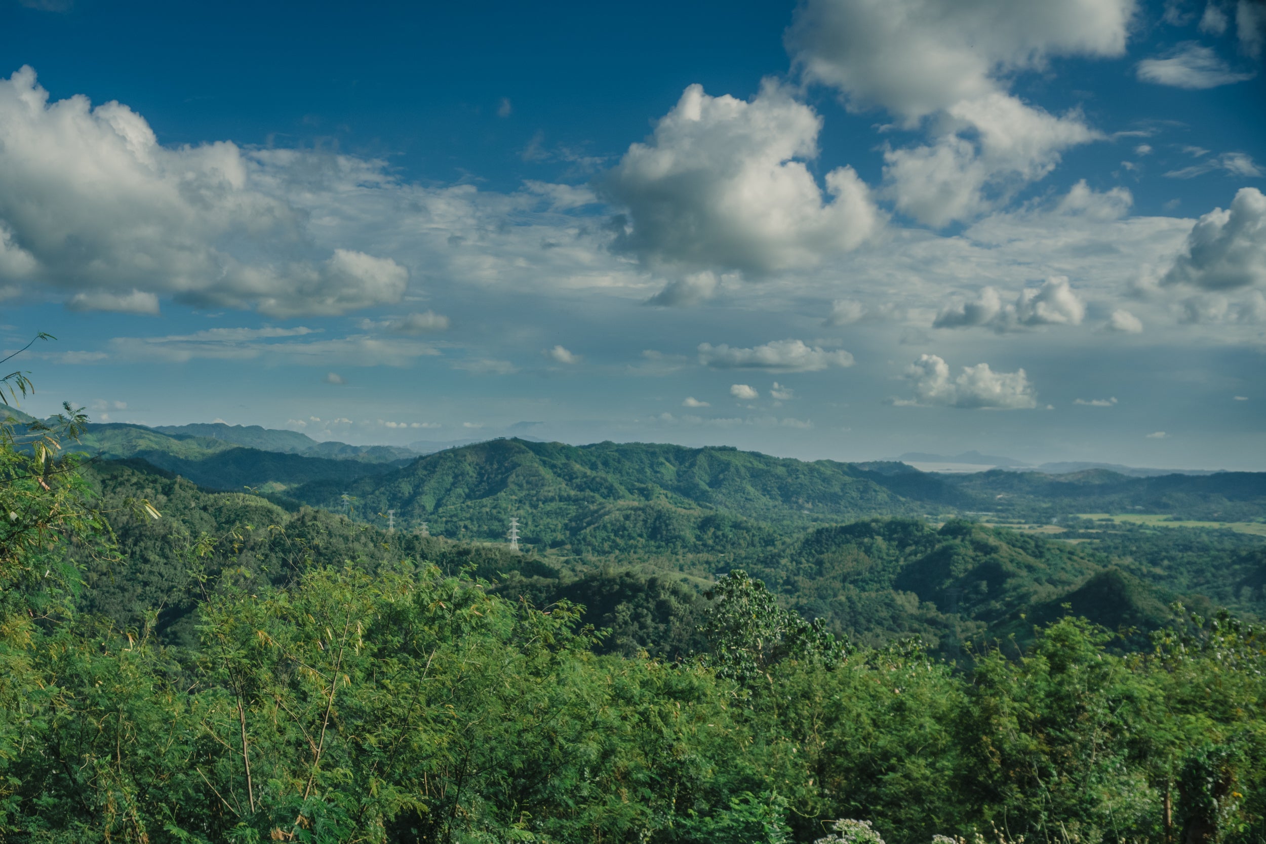 Hikes and Harmony: Tree Nurturing with MAD Travel & MPNR Foundation