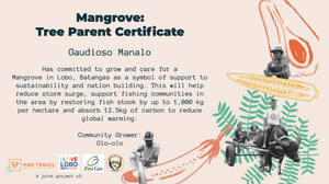 Give a Tree, Support a Fisherman - Mangrove Reforestation in Lobo, Batangas