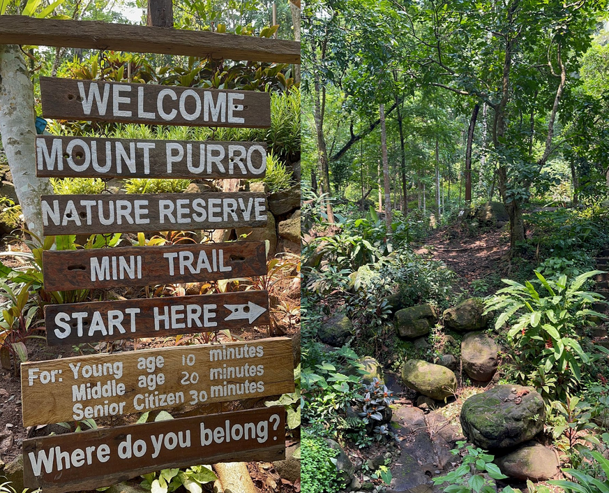 MAD Travel Hikes and Harmony with Mount Purro Nature Reserve